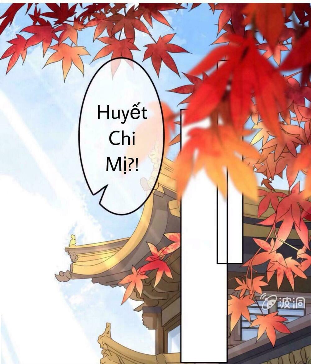 Sủng Phi Của Vương: Chapter 40