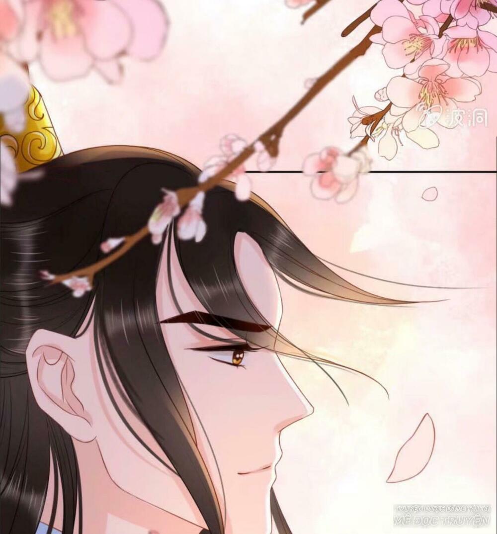 Sủng Phi Của Vương: Chapter 41
