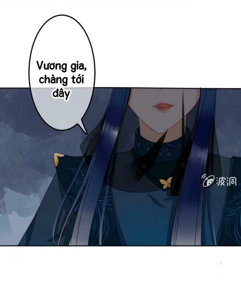 Sủng Phi Của Vương: Chapter 43