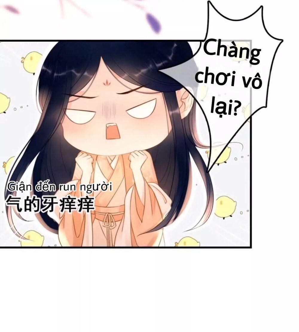 Sủng Phi Của Vương: Chapter 57