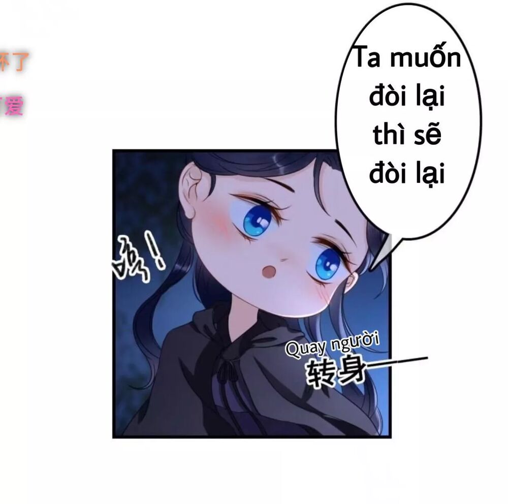 Sủng Phi Của Vương: Chapter 62
