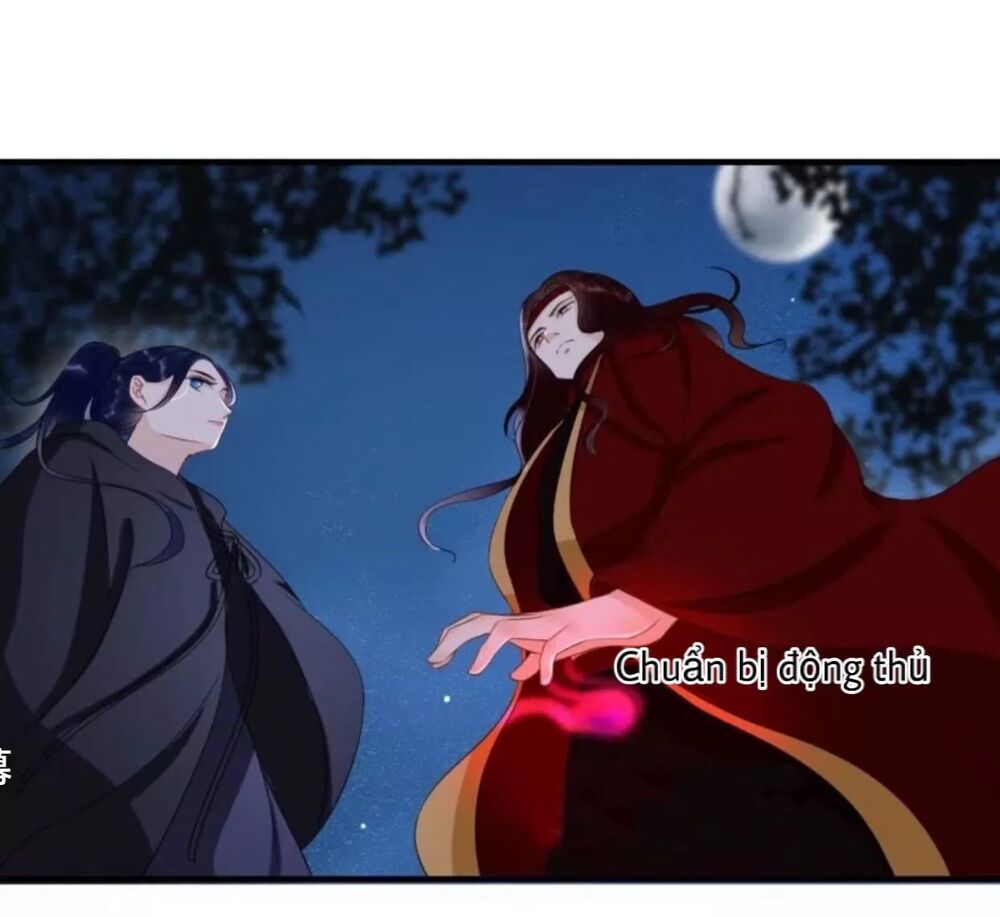 Sủng Phi Của Vương: Chapter 62