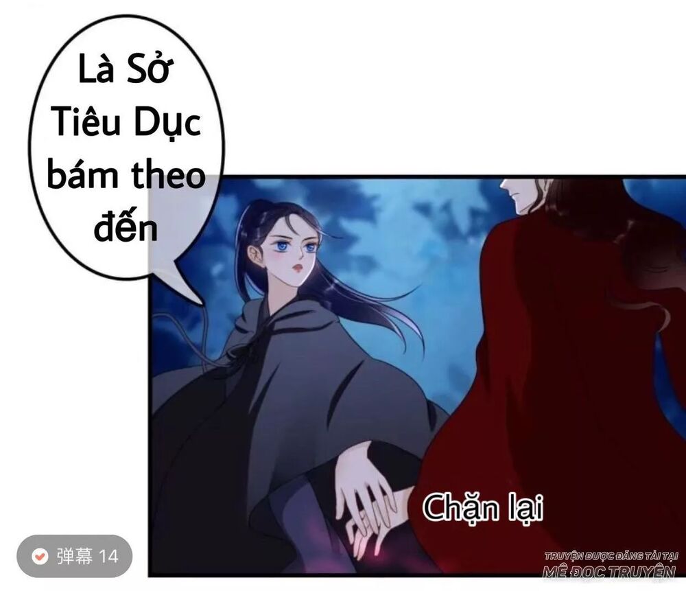 Sủng Phi Của Vương: Chapter 62