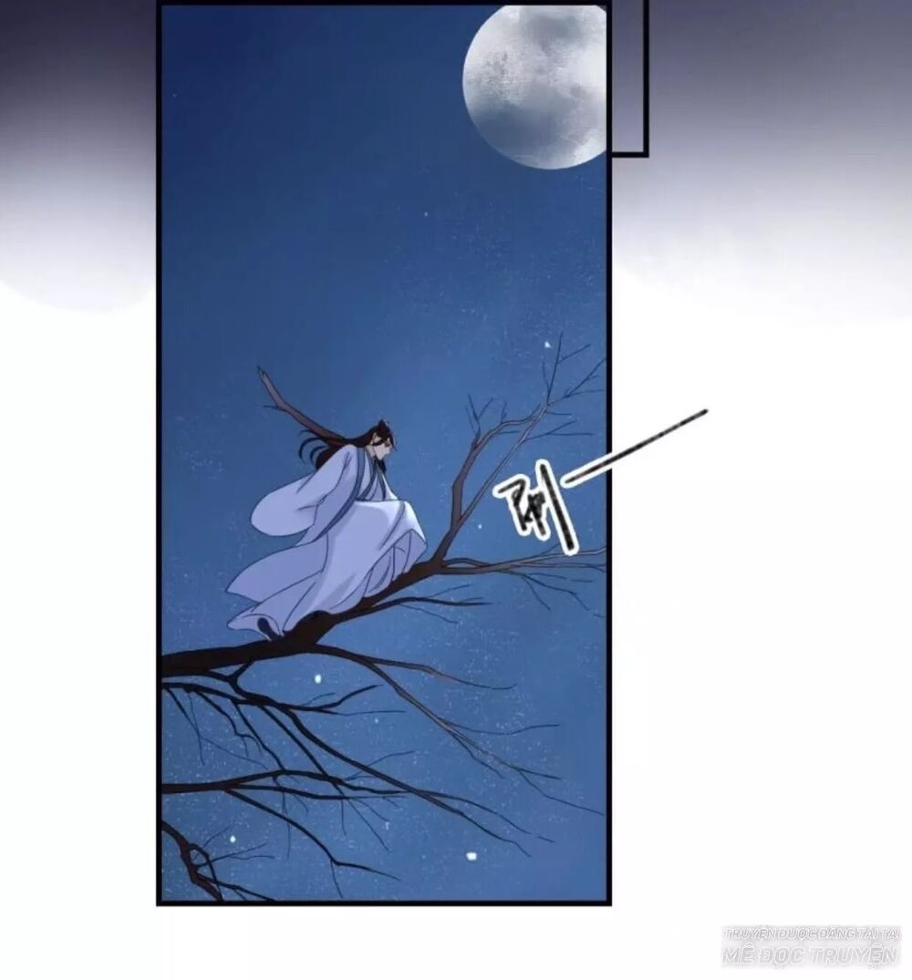 Sủng Phi Của Vương: Chapter 62