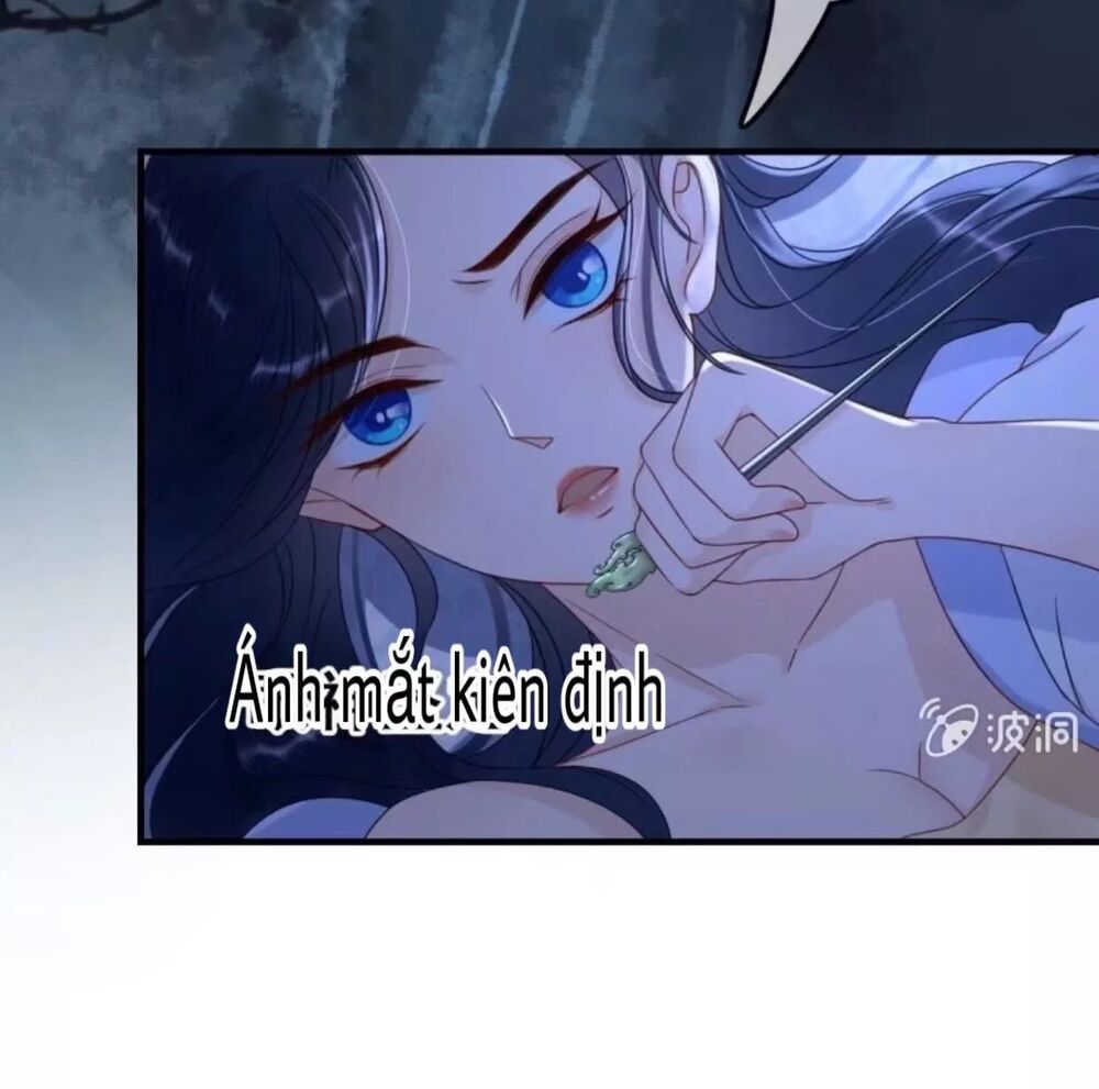 Sủng Phi Của Vương: Chapter 65