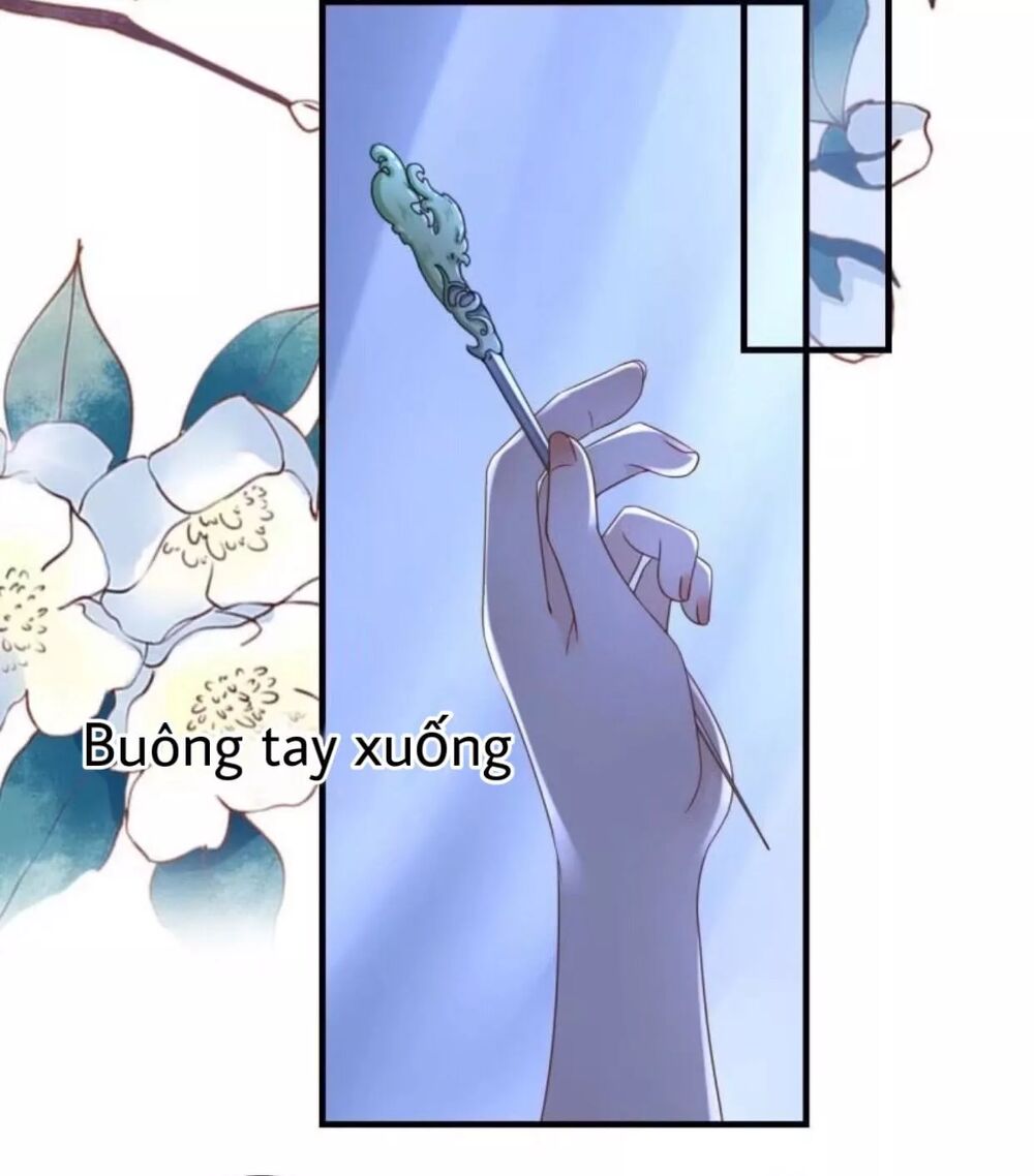 Sủng Phi Của Vương: Chapter 65