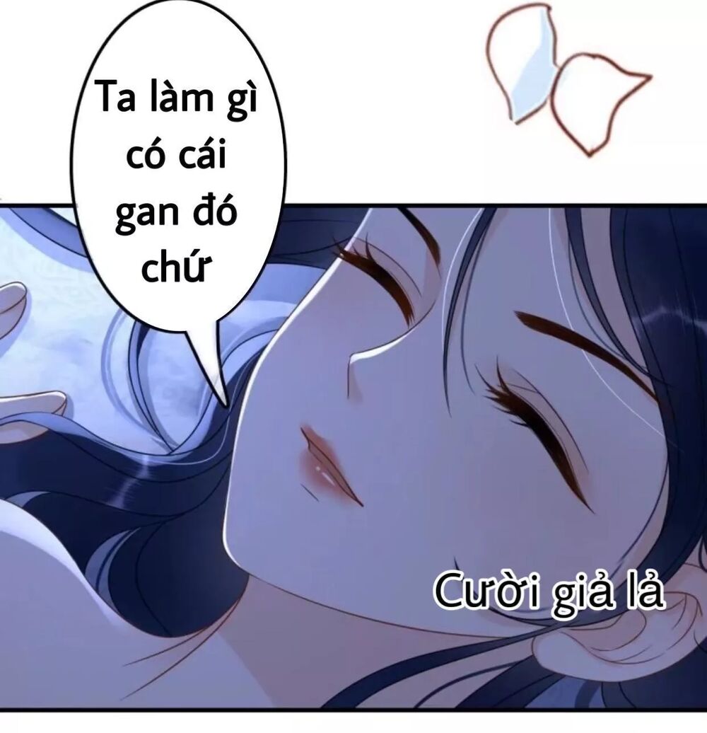 Sủng Phi Của Vương: Chapter 65