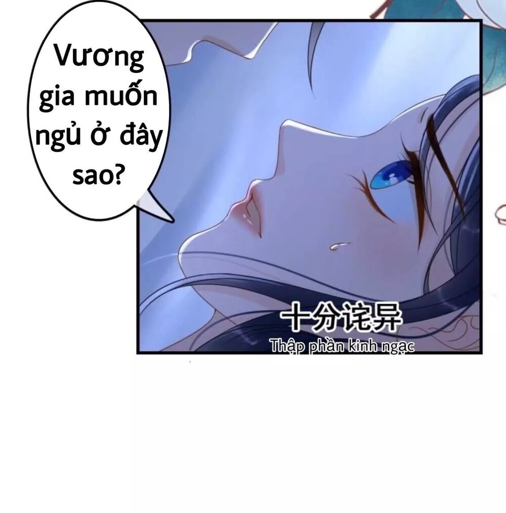 Sủng Phi Của Vương: Chapter 65