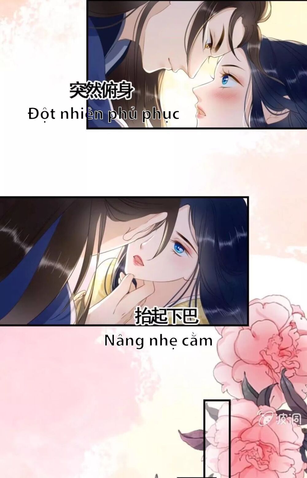 Sủng Phi Của Vương: Chapter 96