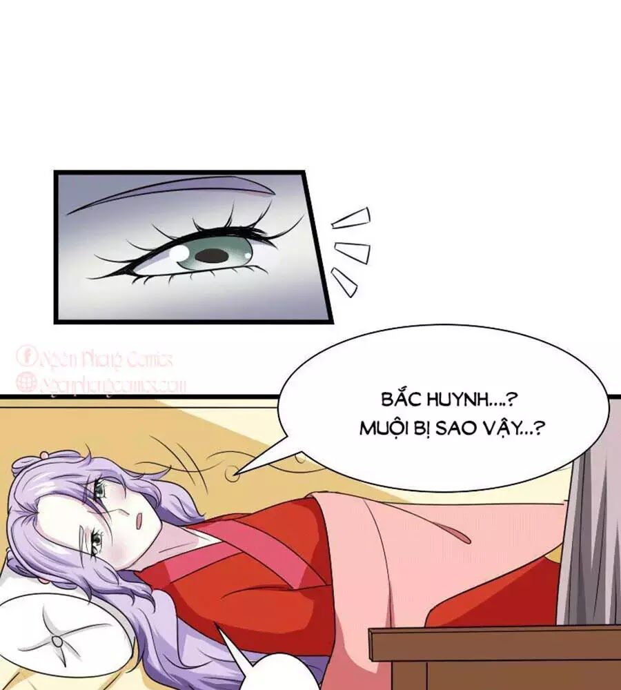 Cưng Chiều Đào Phi: Chapter 104
