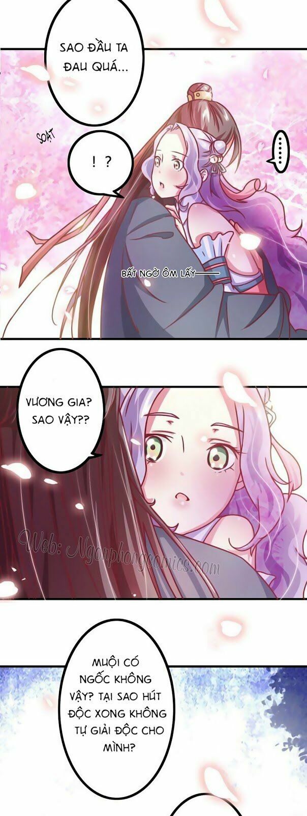 Cưng Chiều Đào Phi: Chapter 11