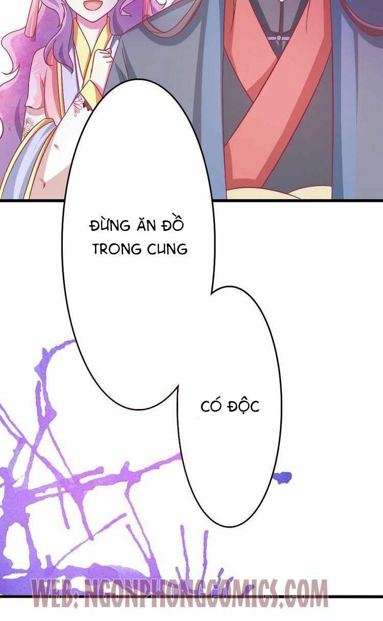 Cưng Chiều Đào Phi: Chapter 16