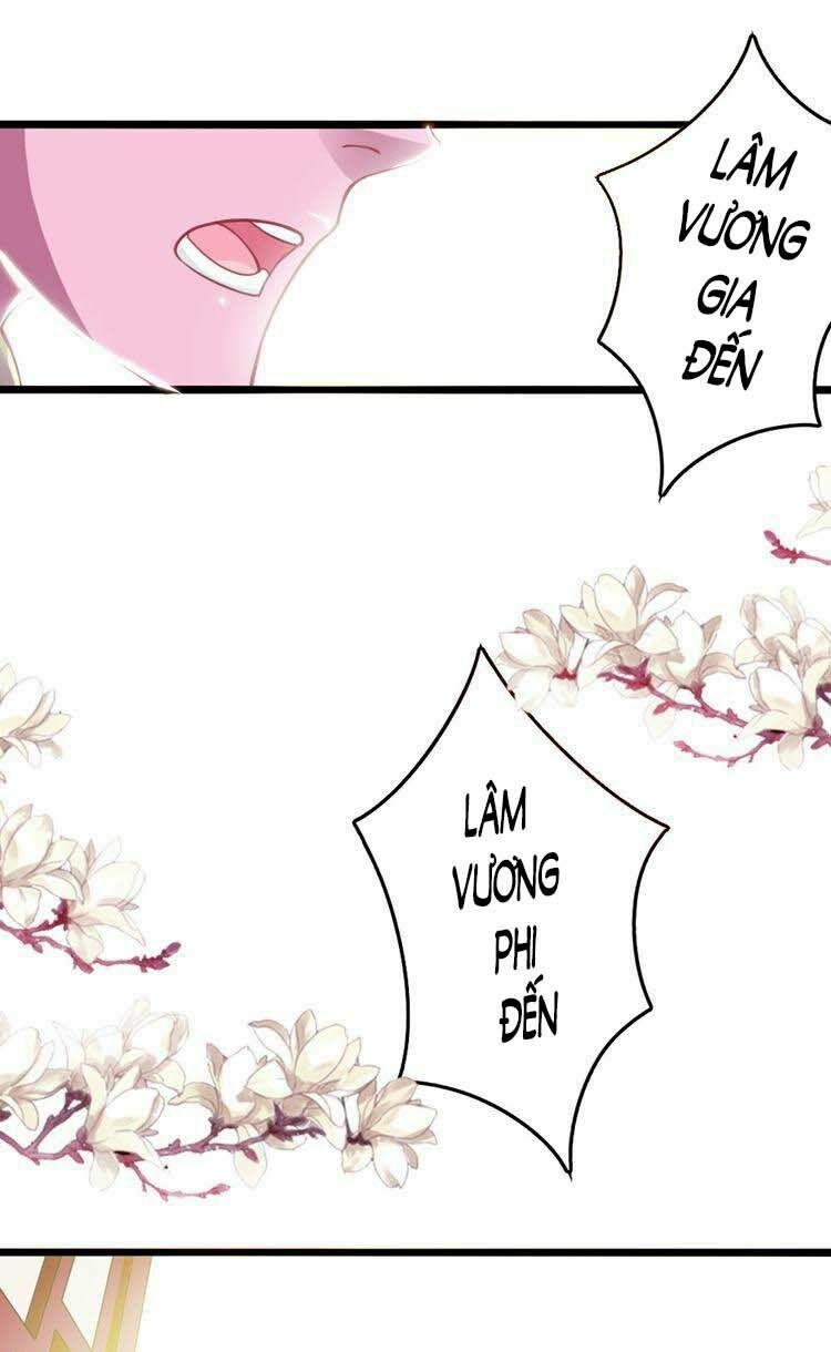Cưng Chiều Đào Phi: Chapter 16
