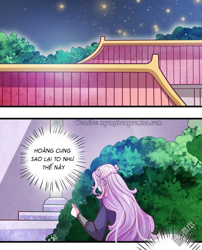 Cưng Chiều Đào Phi: Chapter 33