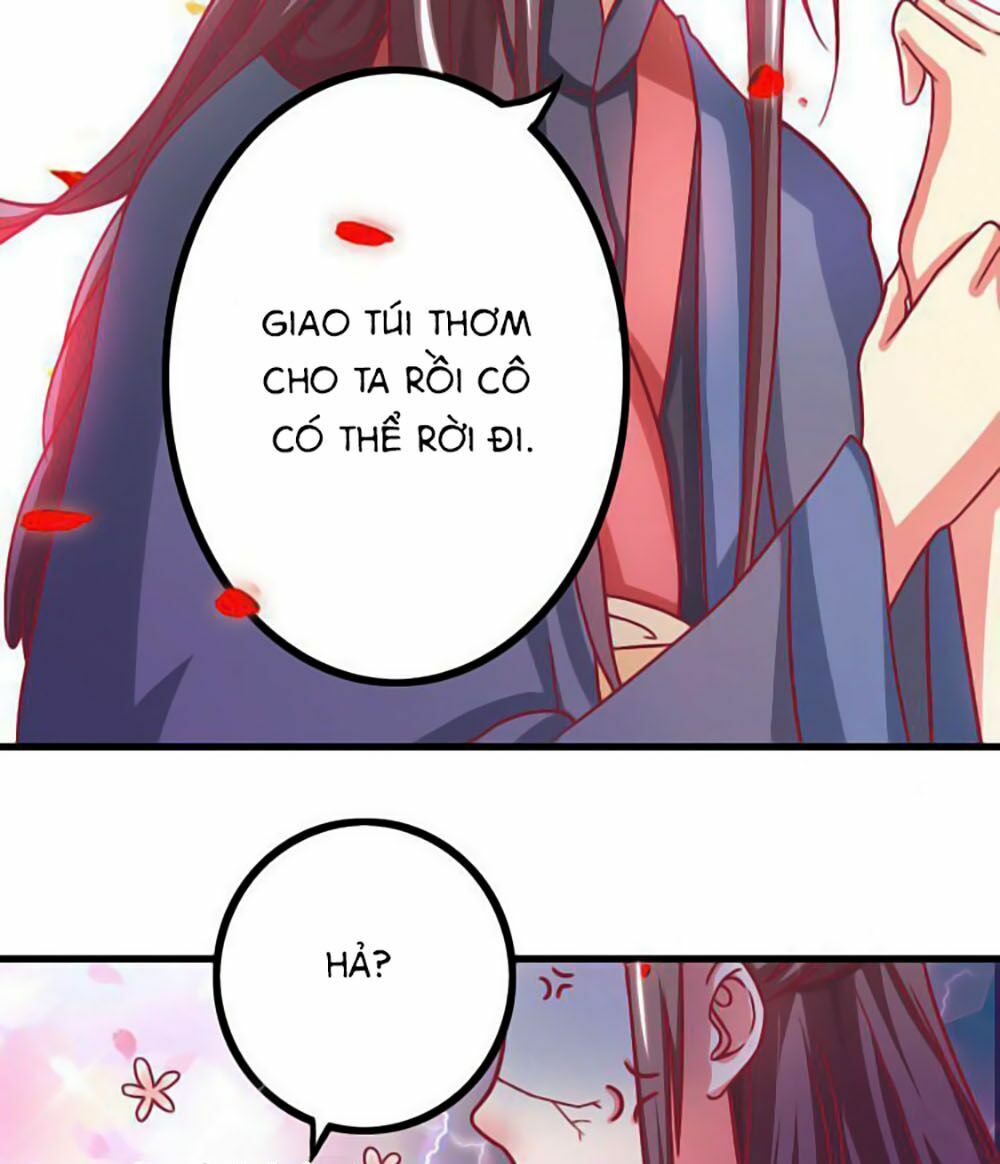 Cưng Chiều Đào Phi: Chapter 4