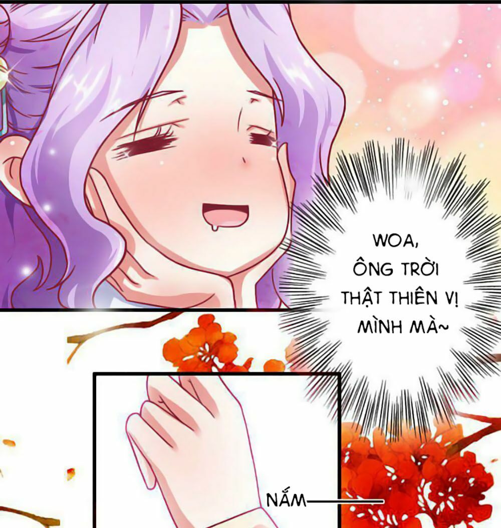 Cưng Chiều Đào Phi: Chapter 4