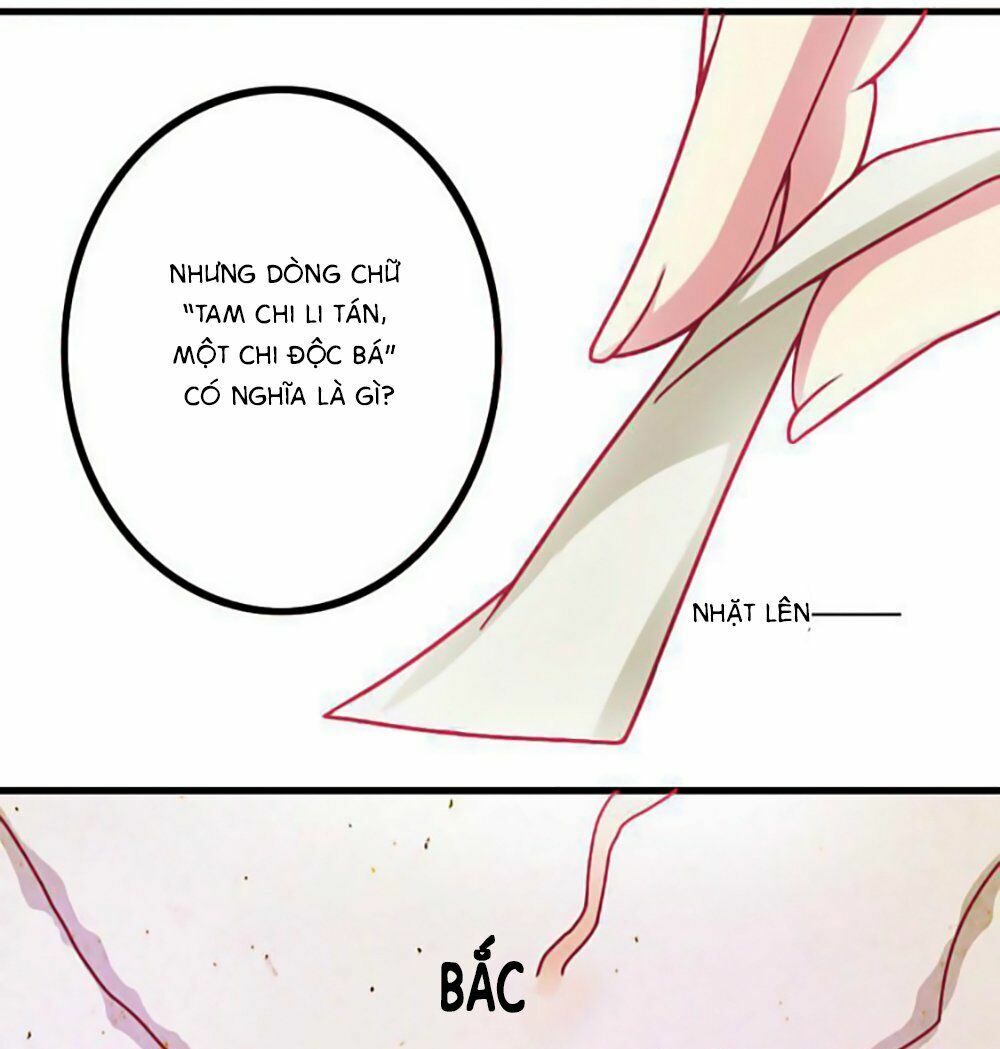Cưng Chiều Đào Phi: Chapter 7