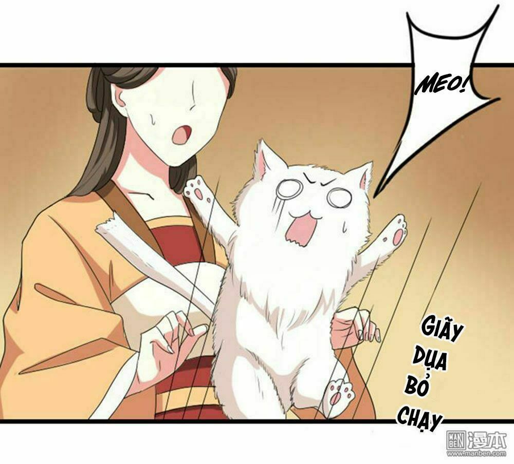Cưng Chiều Đào Phi: Chapter 74