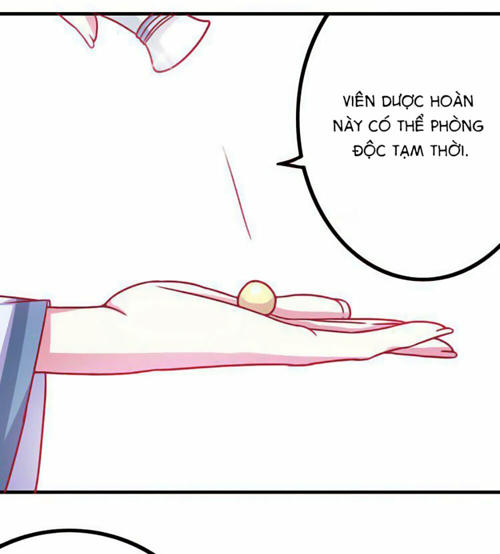 Cưng Chiều Đào Phi: Chapter 8