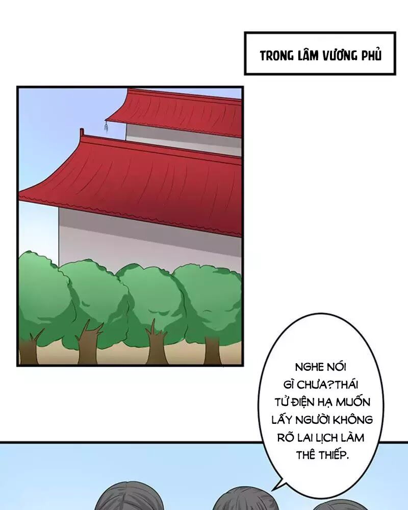 Cưng Chiều Đào Phi: Chapter 84