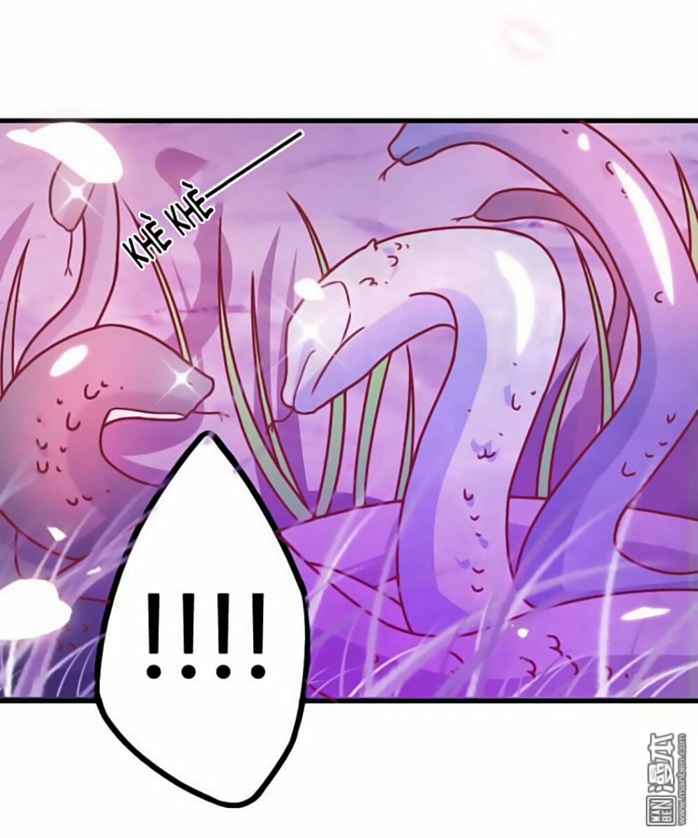 Cưng Chiều Đào Phi: Chapter 9