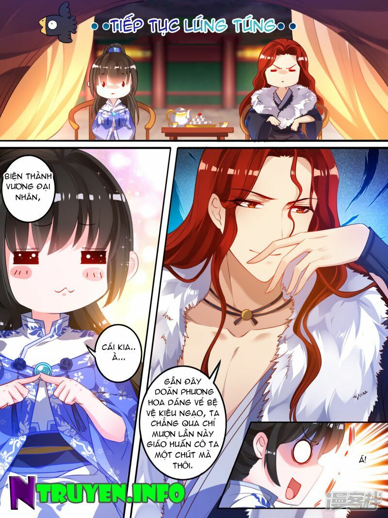 Xú Nữ Đích Hậu Cung: Chapter 11
