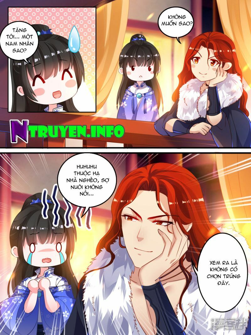 Xú Nữ Đích Hậu Cung: Chapter 11