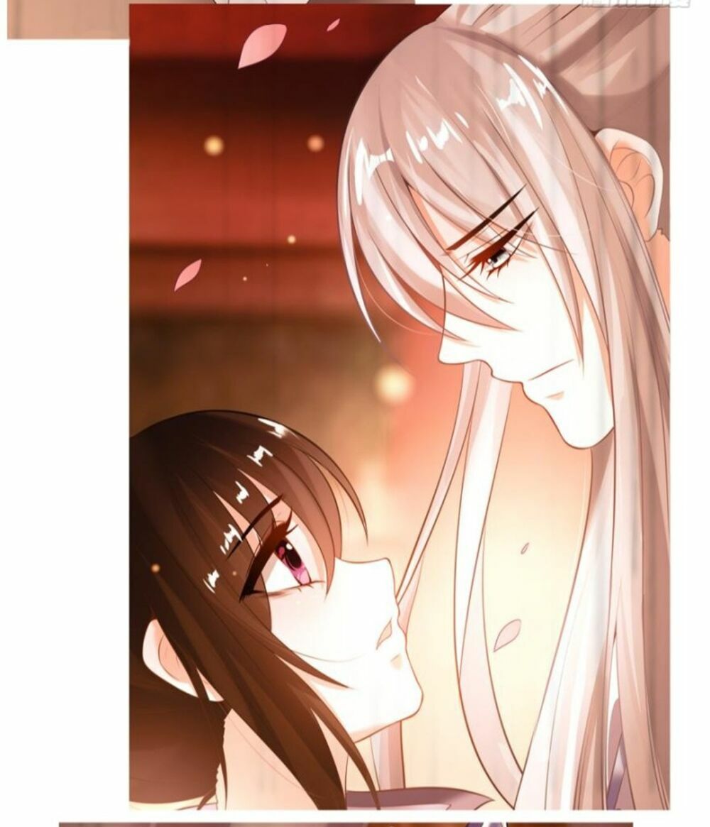 Xú Nữ Đích Hậu Cung: Chapter 156