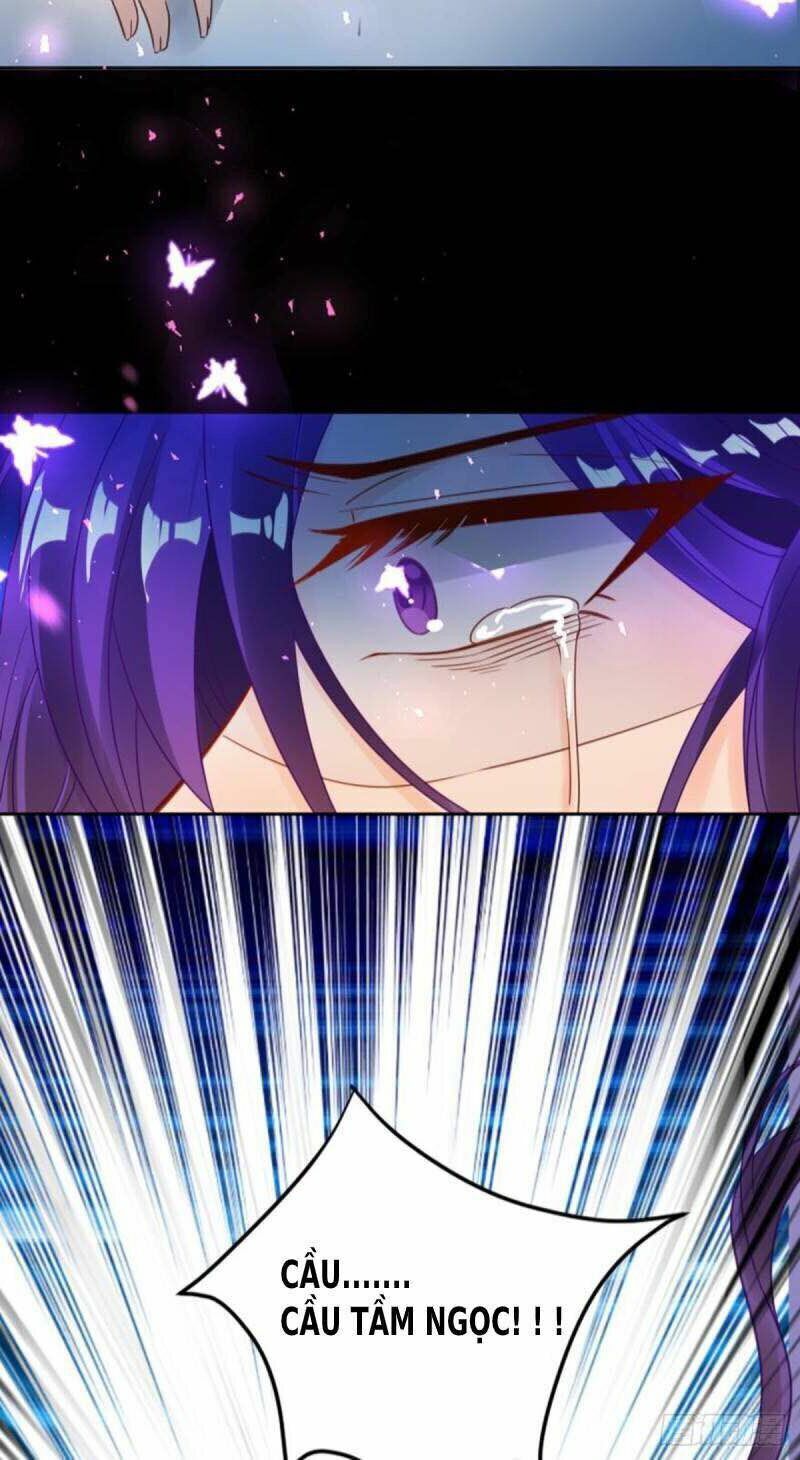 Xú Nữ Đích Hậu Cung: Chapter 186