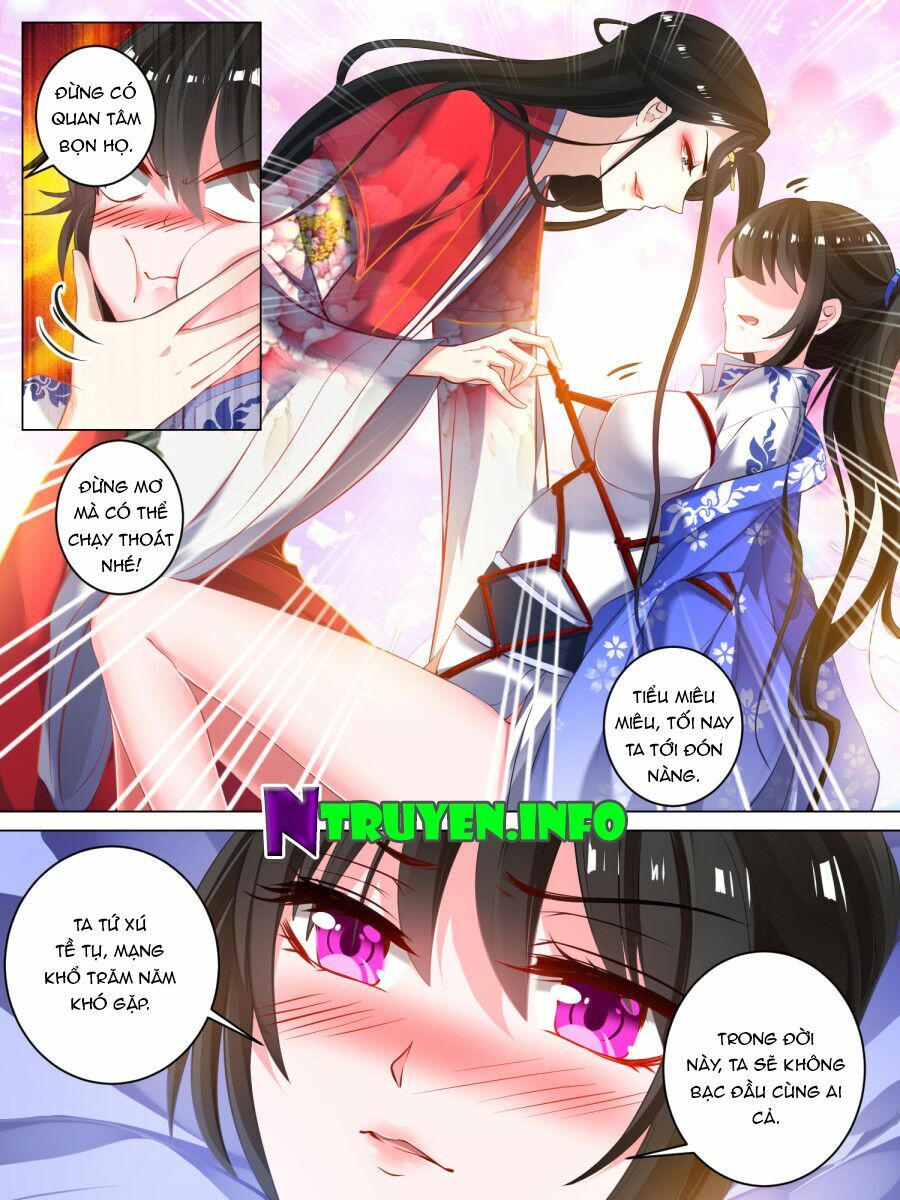 Xú Nữ Đích Hậu Cung: Chapter 31