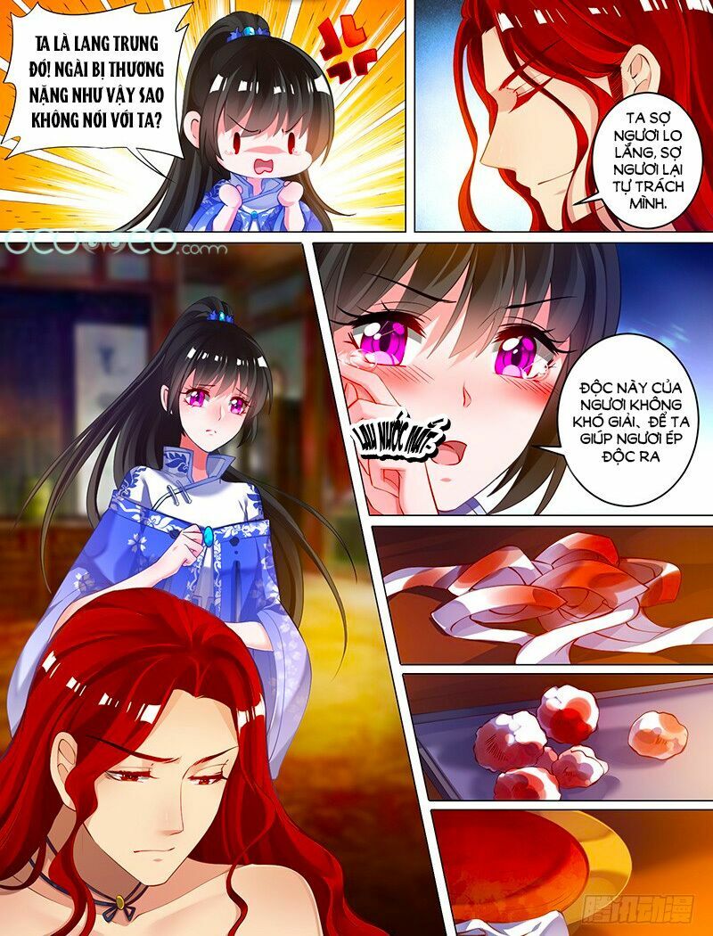 Xú Nữ Đích Hậu Cung: Chapter 51.9