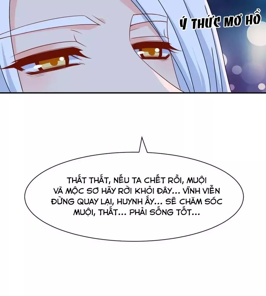 Kiêu Sủng Y Phi: Chapter 154