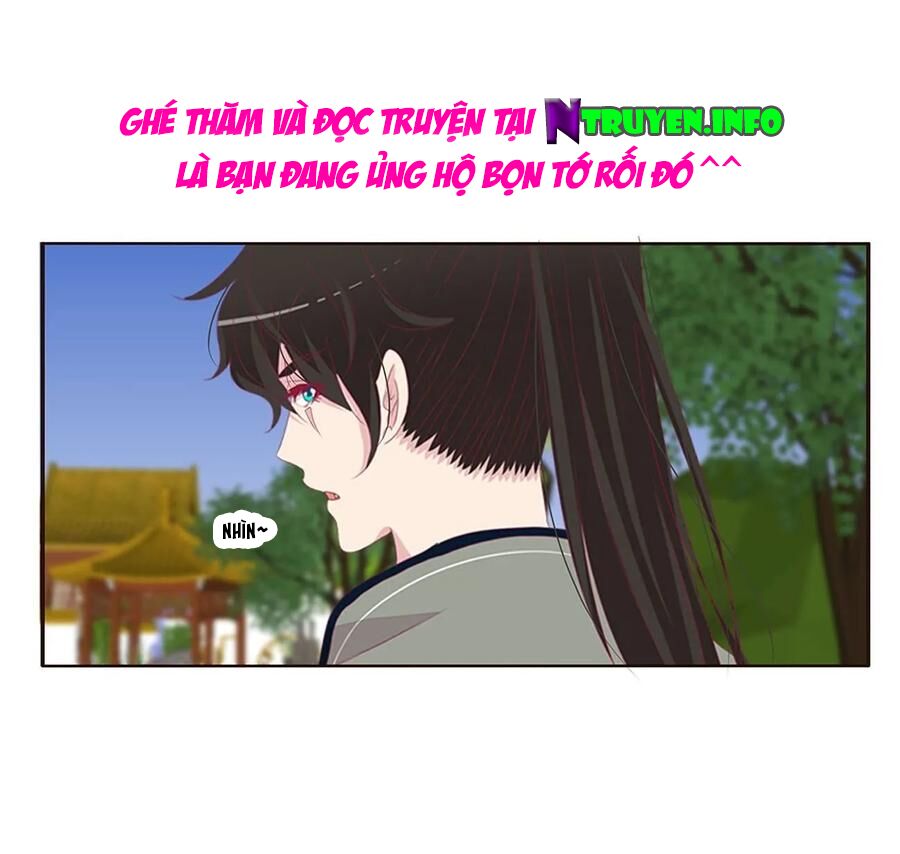 Tướng Quân Mời Ra Trận: Chapter 184
