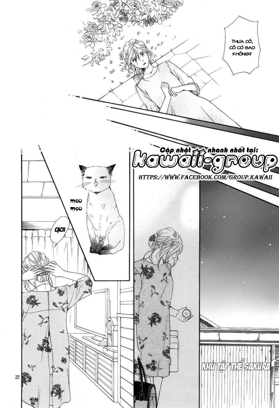Sumika Sumire: Chapter 27