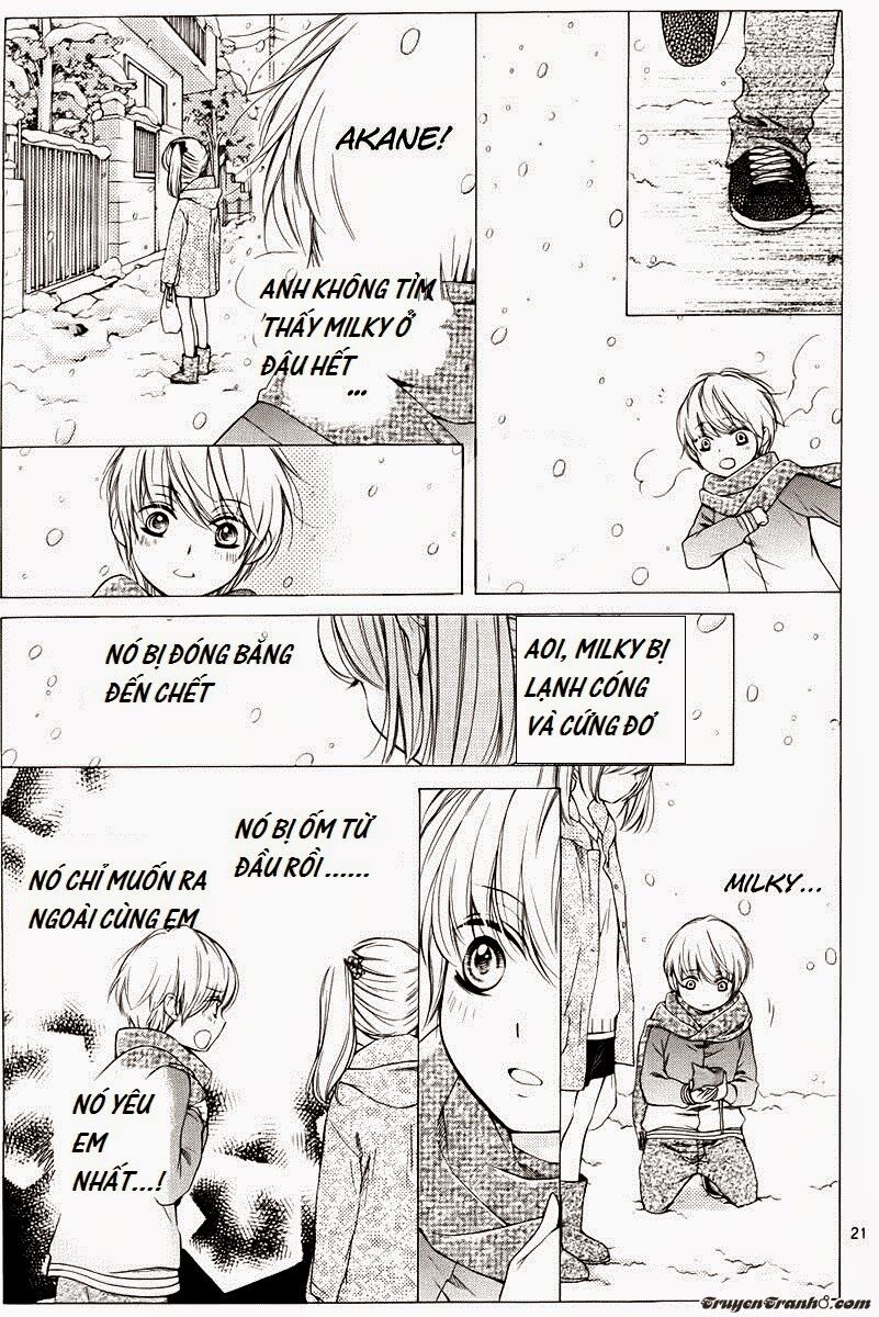 The Romantica Clock: Chapter 7