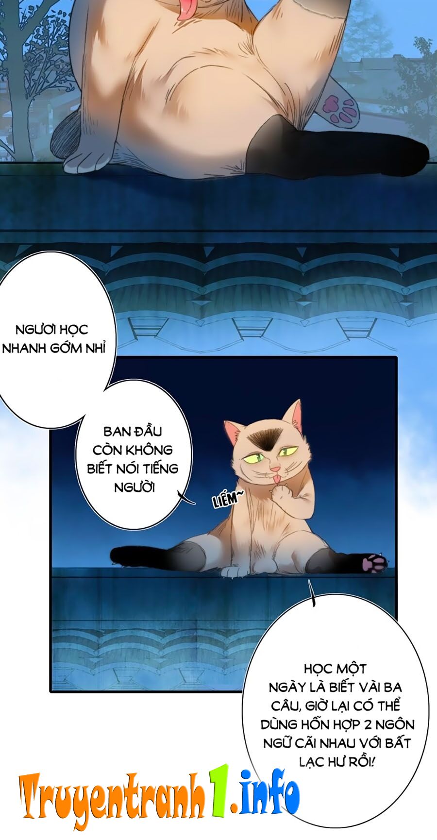 Lệnh Cấm Nghị Tộc 2 Ẩn Diện Trấn: Chapter 68