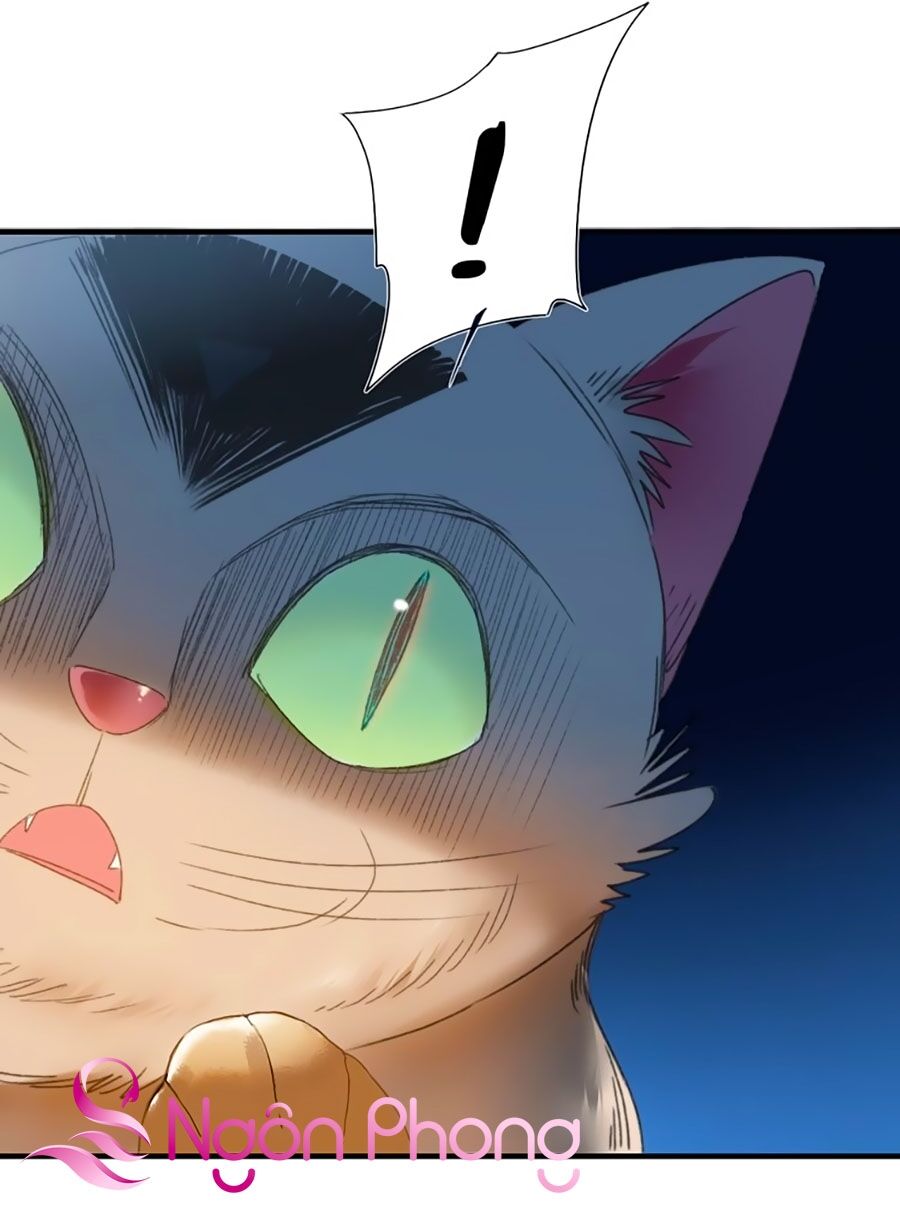 Lệnh Cấm Nghị Tộc 2 Ẩn Diện Trấn: Chapter 68