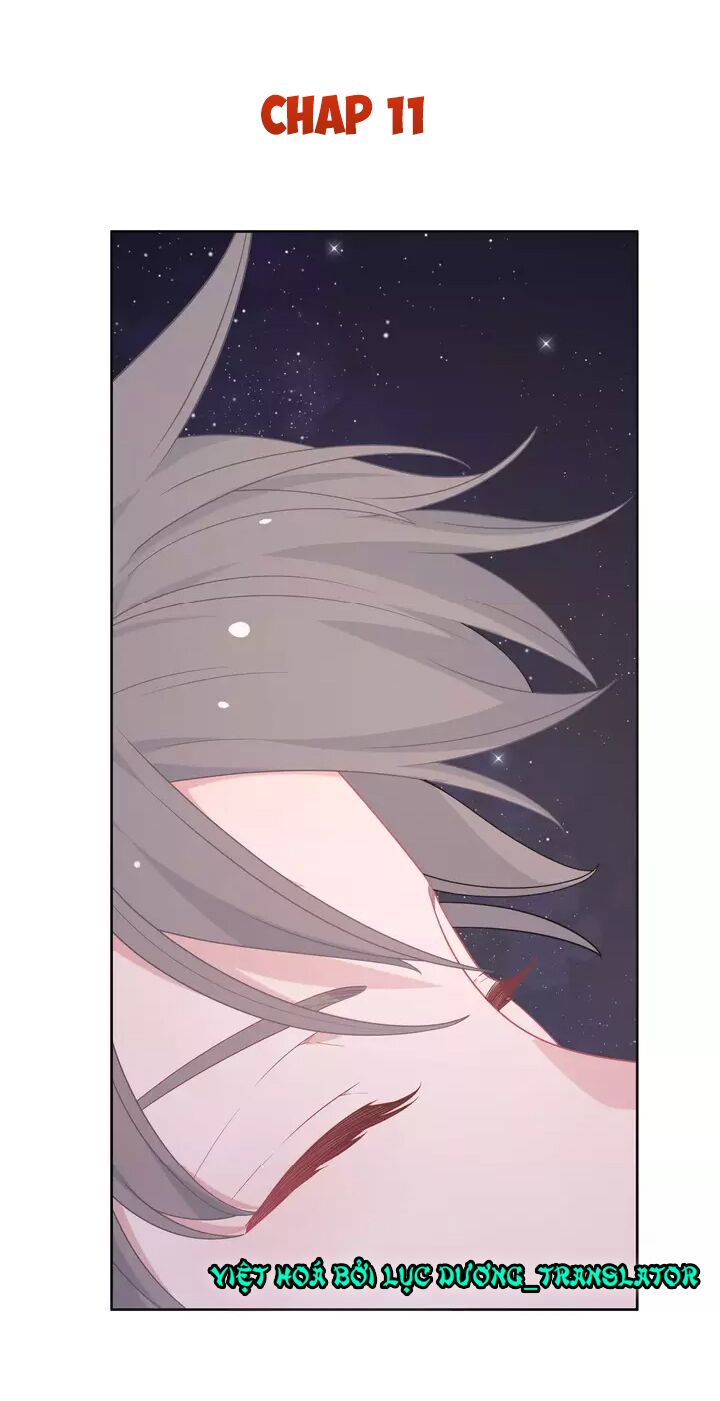 Vương tử thành phố và công chúa Amazon: Chapter 11