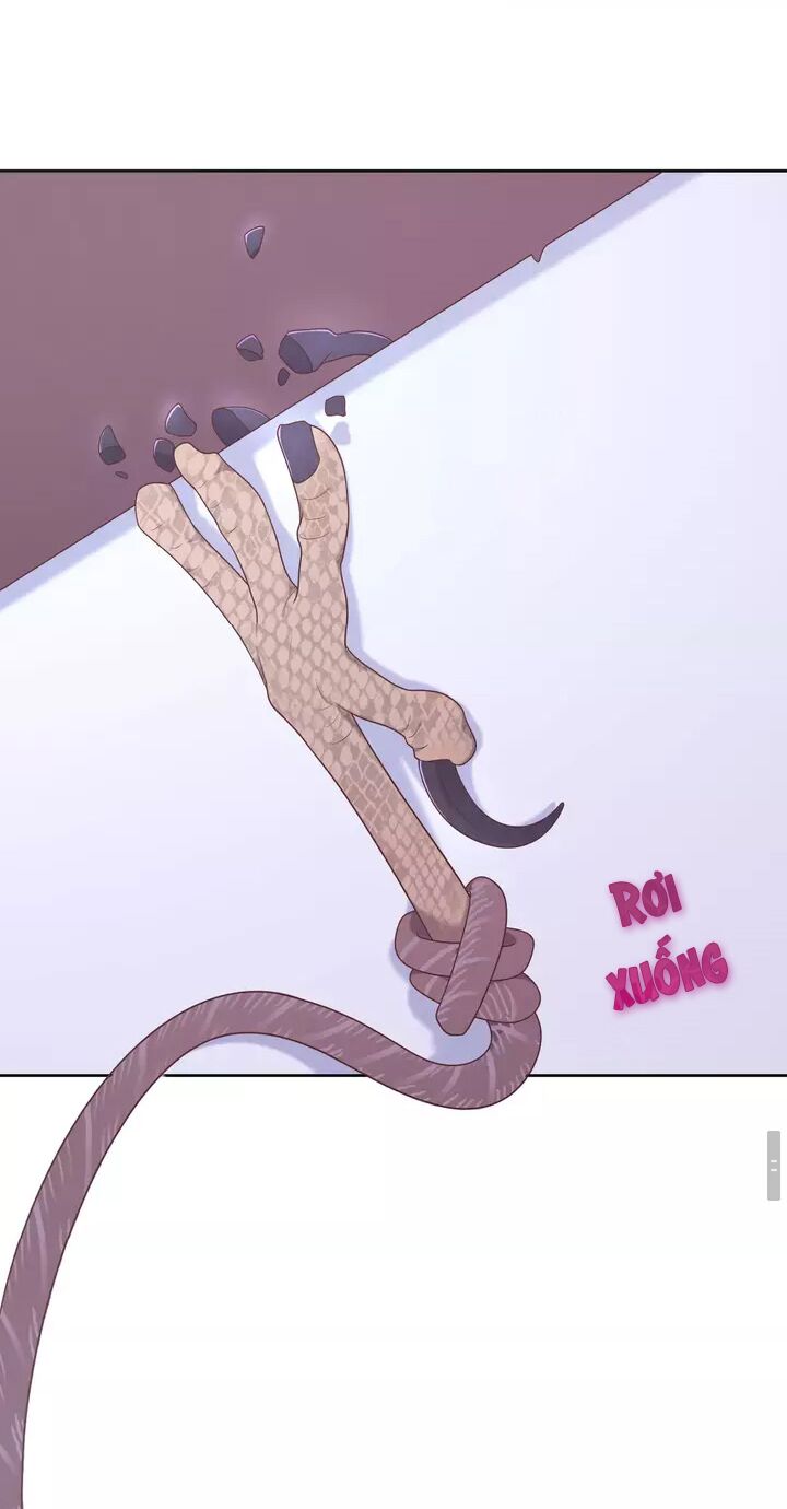 Vương tử thành phố và công chúa Amazon: Chapter 11