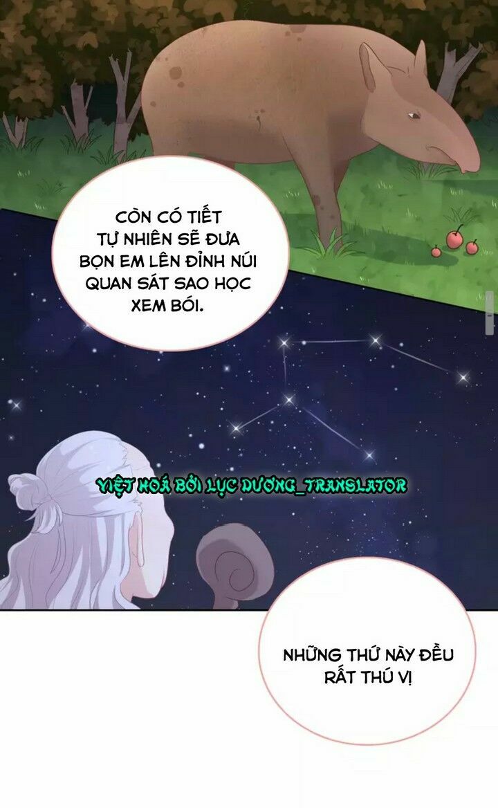 Vương tử thành phố và công chúa Amazon: Chapter 12