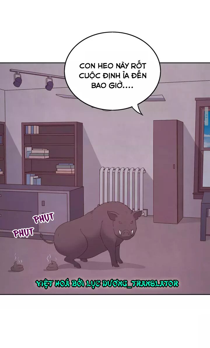 Vương tử thành phố và công chúa Amazon: Chapter 14