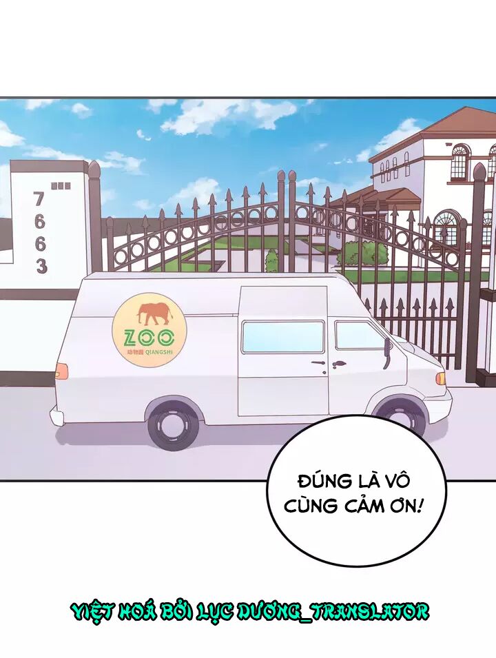 Vương tử thành phố và công chúa Amazon: Chapter 16