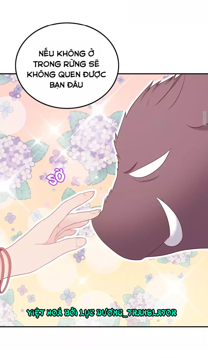 Vương tử thành phố và công chúa Amazon: Chapter 16