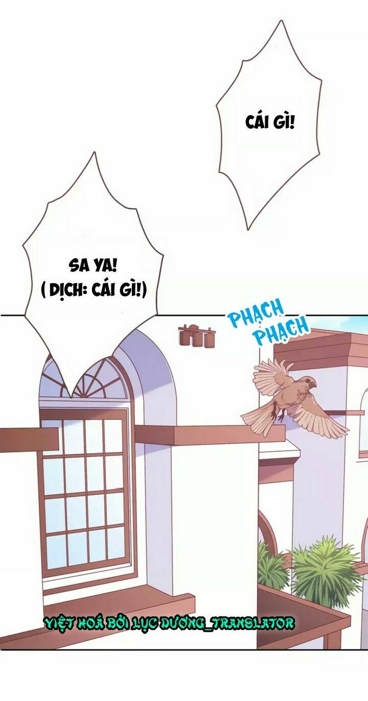 Vương tử thành phố và công chúa Amazon: Chapter 3