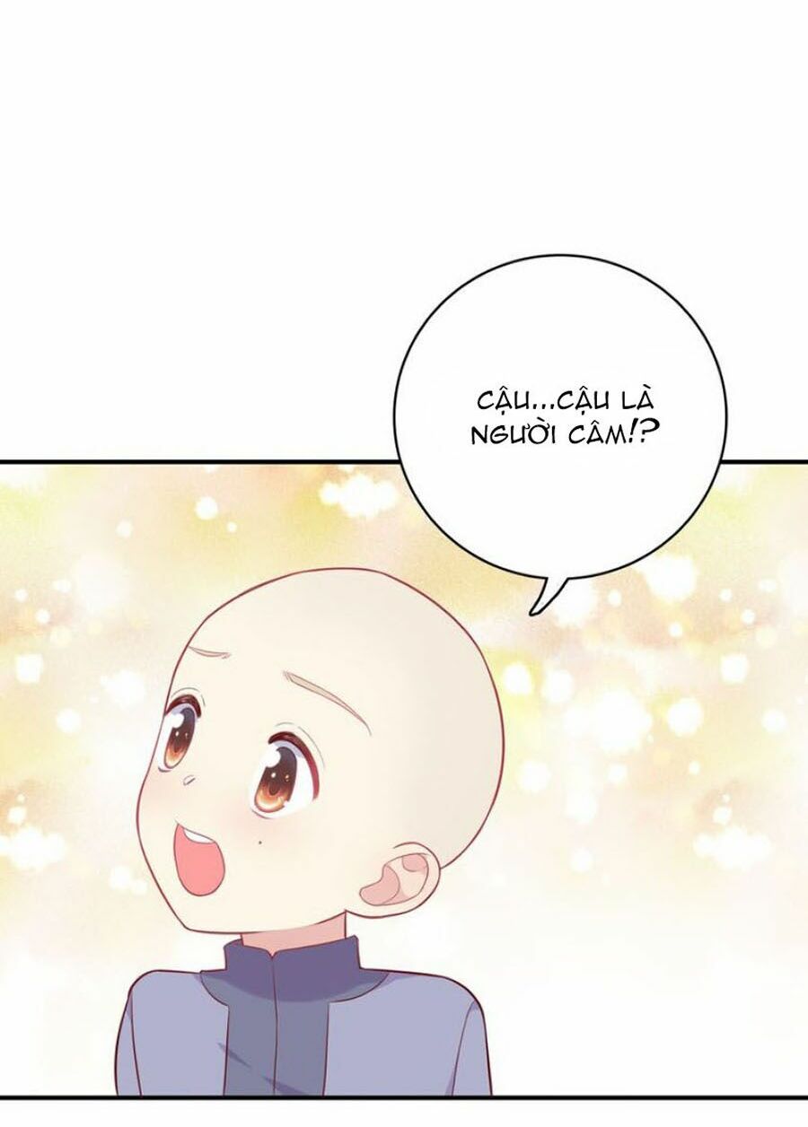 Vương tử thành phố và công chúa Amazon: Chapter 33