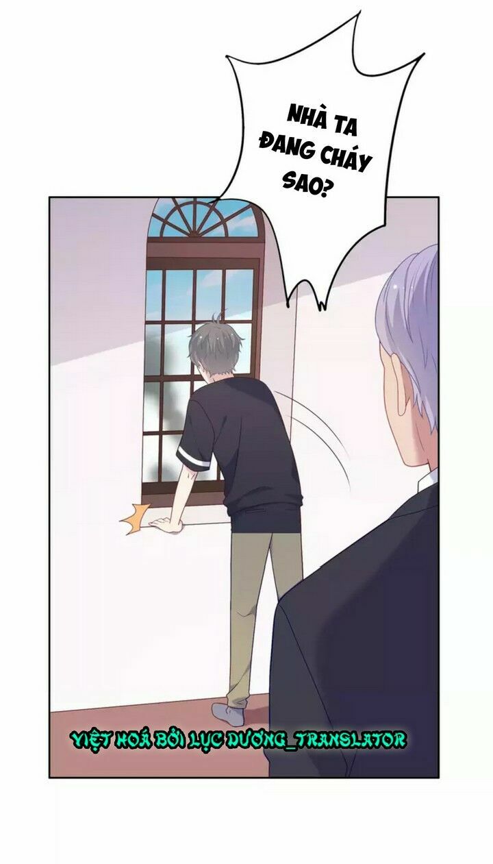 Vương tử thành phố và công chúa Amazon: Chapter 4