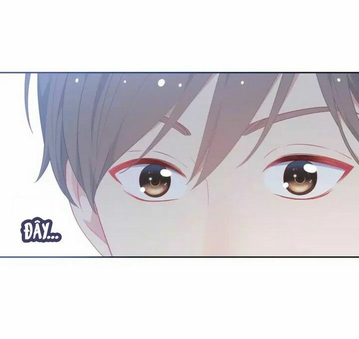Vương tử thành phố và công chúa Amazon: Chapter 5