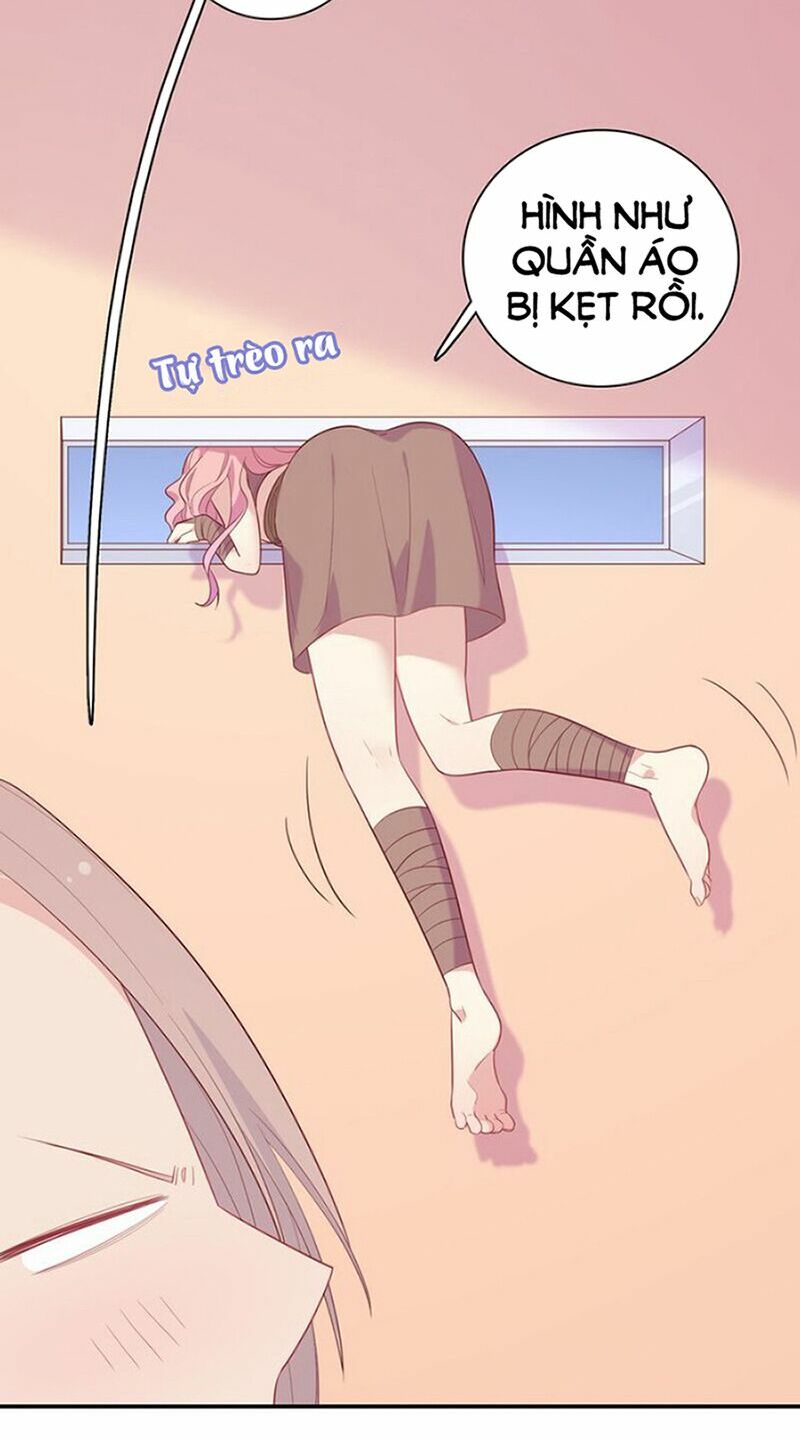 Vương tử thành phố và công chúa Amazon: Chapter 52