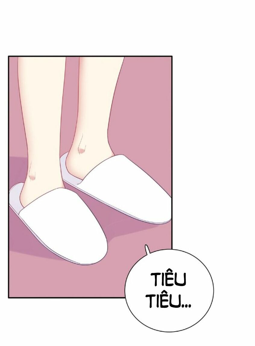 Vương tử thành phố và công chúa Amazon: Chapter 60