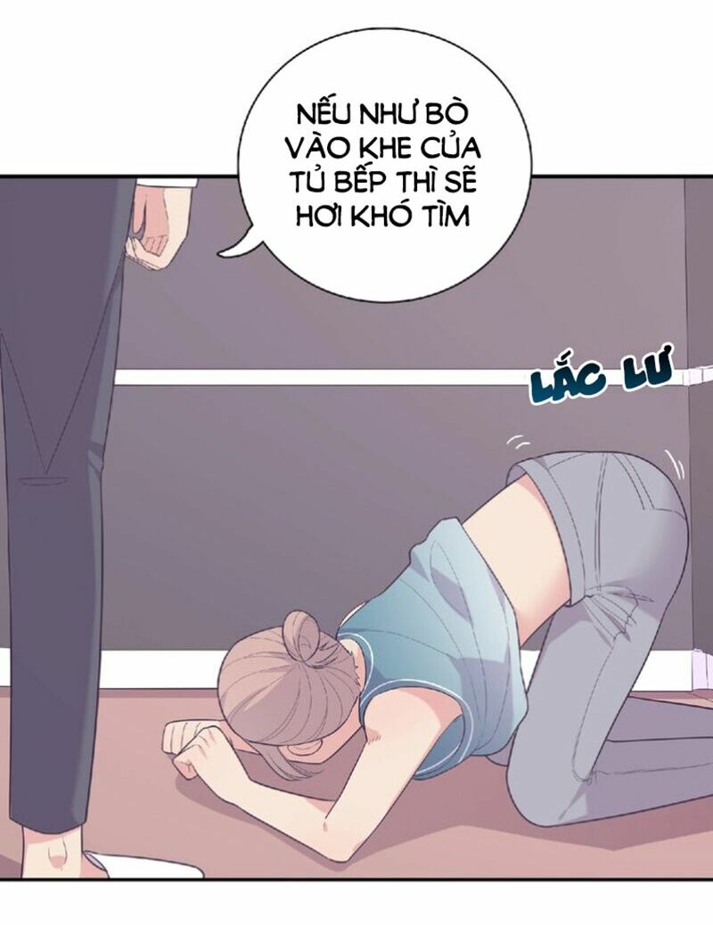 Vương tử thành phố và công chúa Amazon: Chapter 72